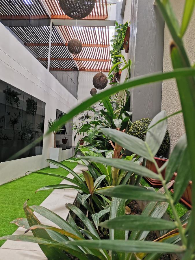 Murano Hotel Moyobamba Eksteriør bilde